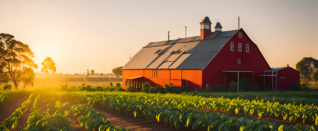 A Brief History: From Peasant Fare to Wellness Trend