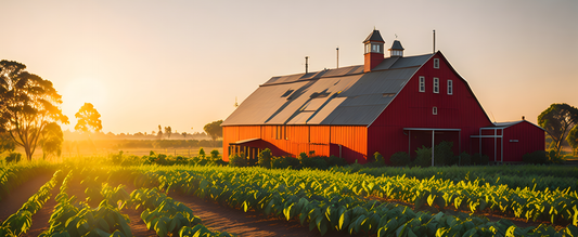 A Brief History: From Peasant Fare to Wellness Trend